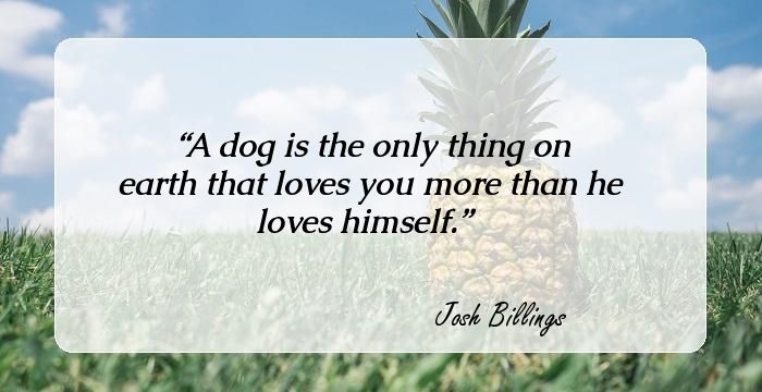 100 Greatest Quotes About Dogs That Will Make You Want To Hug Your Pet.